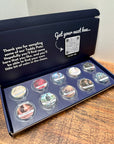 Teddy Pot Sample Box