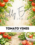 Tomato Vines