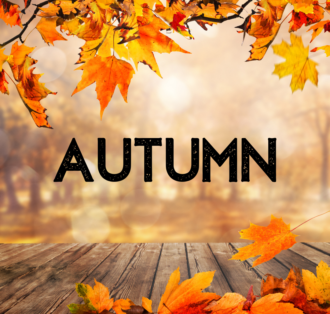 Autumn Wax Melts - all the wax melts you'll need inspired by the autumn season