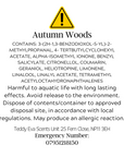 Autumn Woods