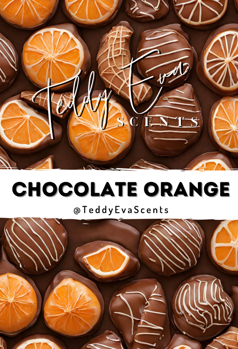 Chocolate Orange Teddy Clamshell