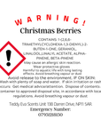 Christmas Berries