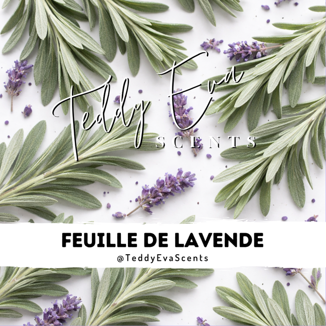 Feuille de Lavende