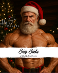 Sexy Santa