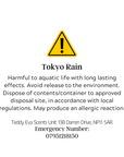 Tokyo Rain