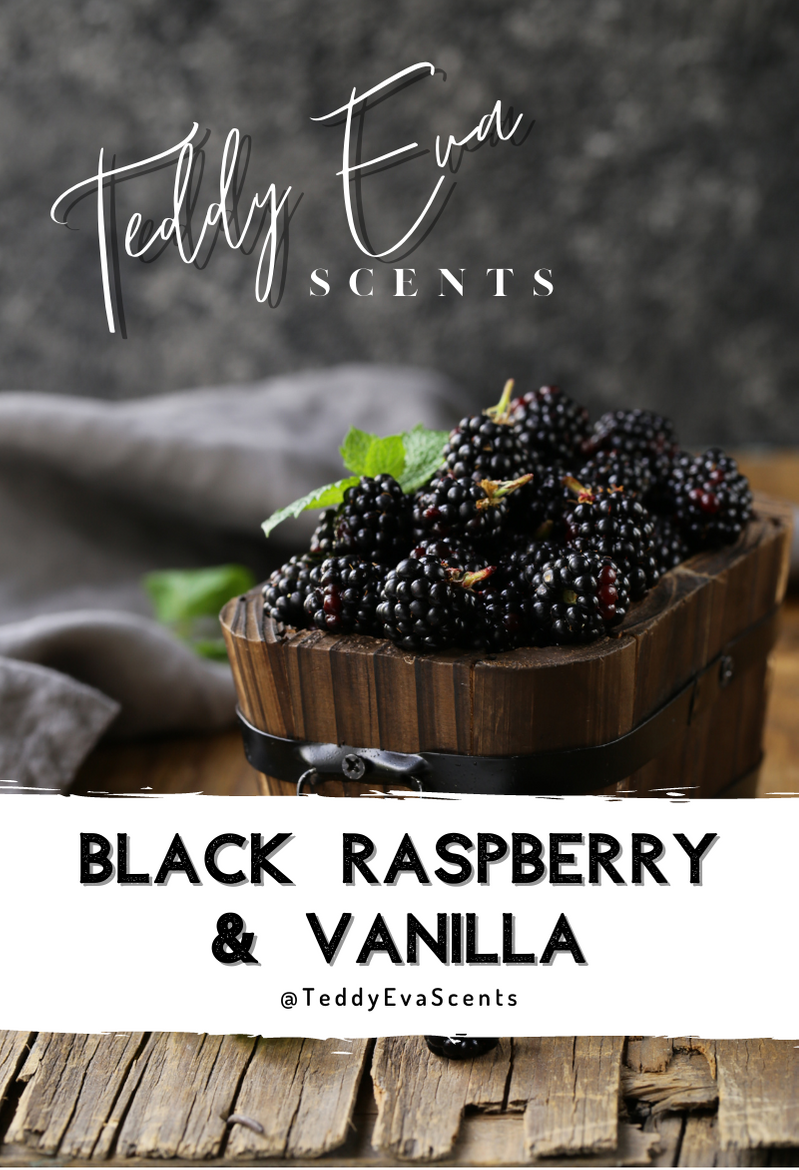 Black Raspberry & Vanilla Teddy Clamshell