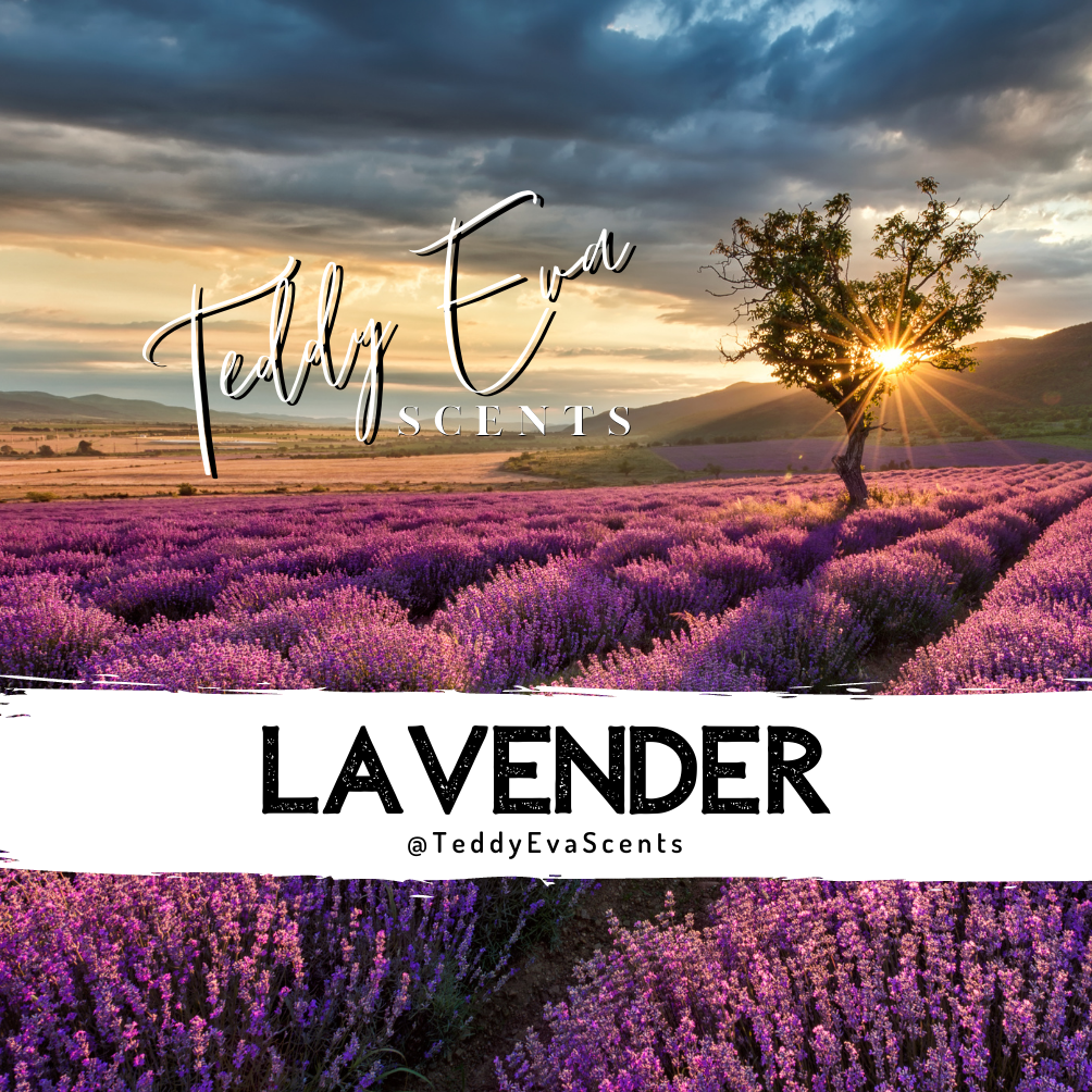 Lavender Teddy Pot - wax melt sample