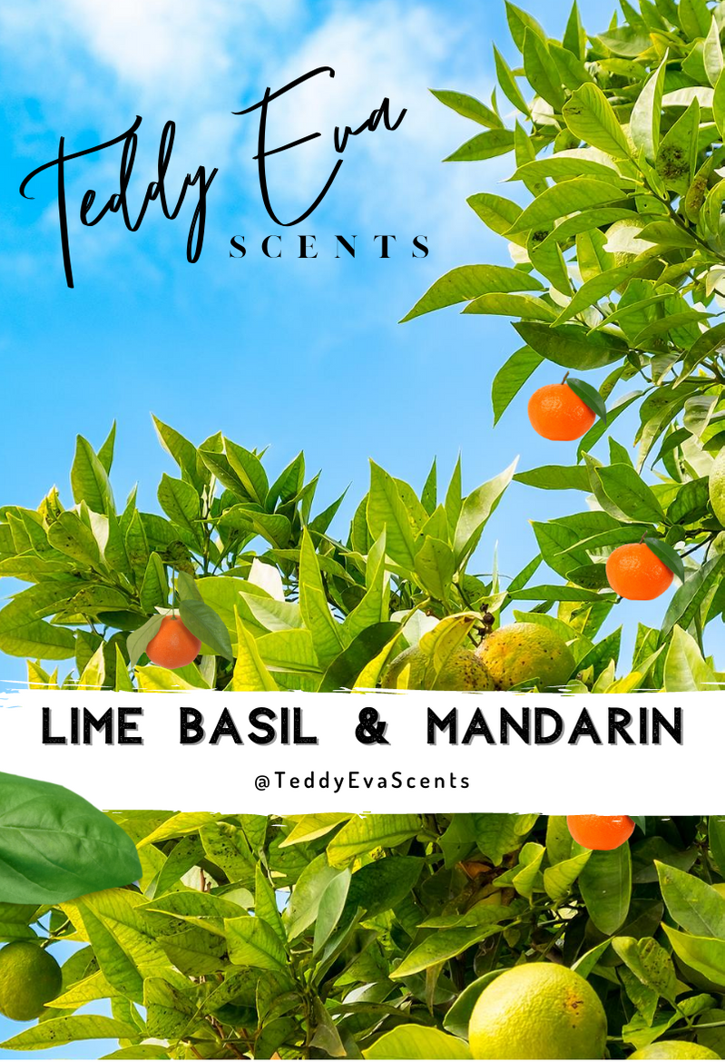 Lime Basil and Mandarin Teddy Clamshell
