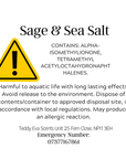 Sage & Sea Salt Teddy Clamshell