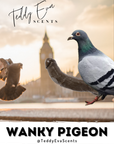 Wanky Pigeon Cockshell